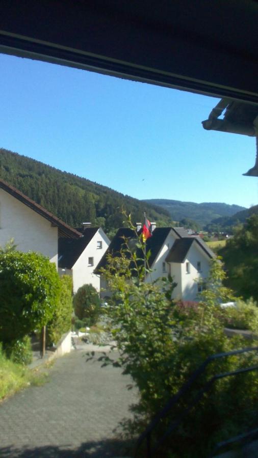 Fewo Pacohaus Naehe Willingen Diemelsee Брілон Екстер'єр фото