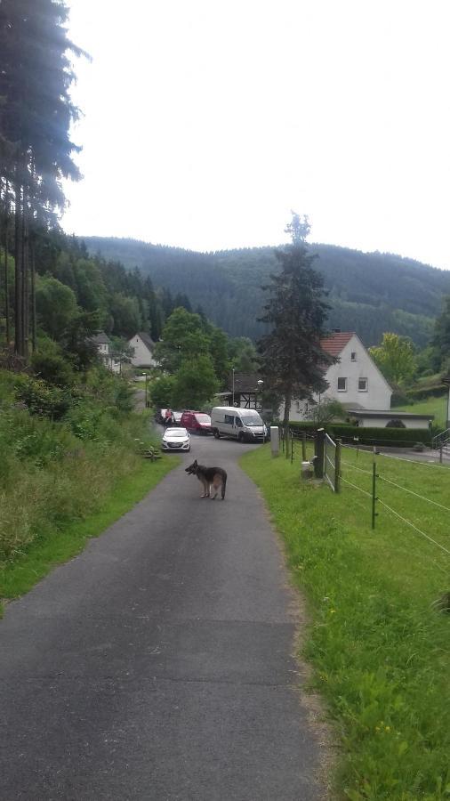 Fewo Pacohaus Naehe Willingen Diemelsee Брілон Екстер'єр фото