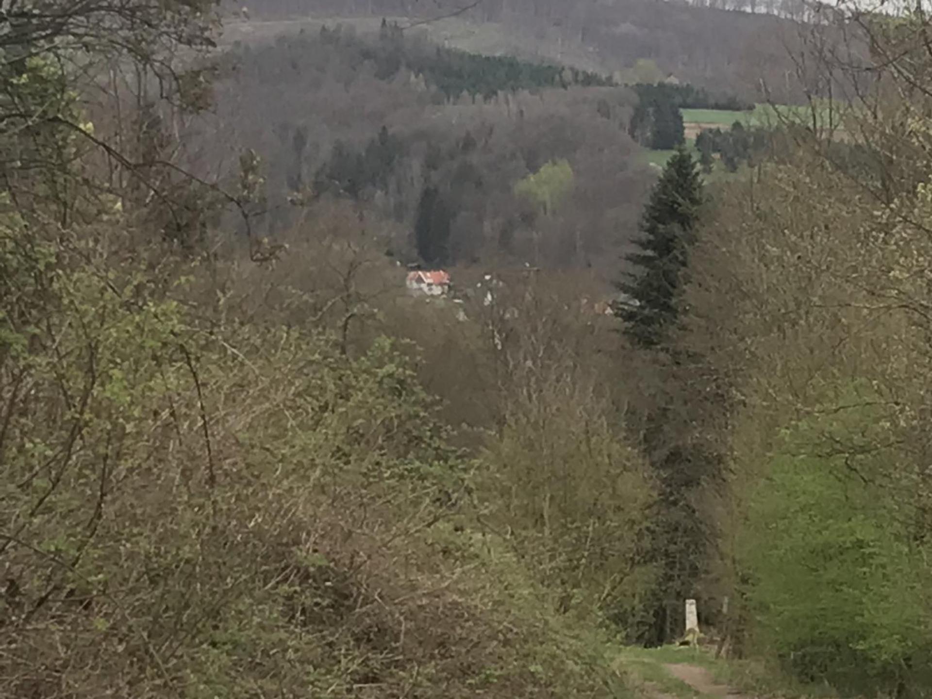 Fewo Pacohaus Naehe Willingen Diemelsee Брілон Екстер'єр фото